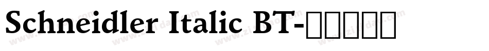 Schneidler Italic BT字体转换